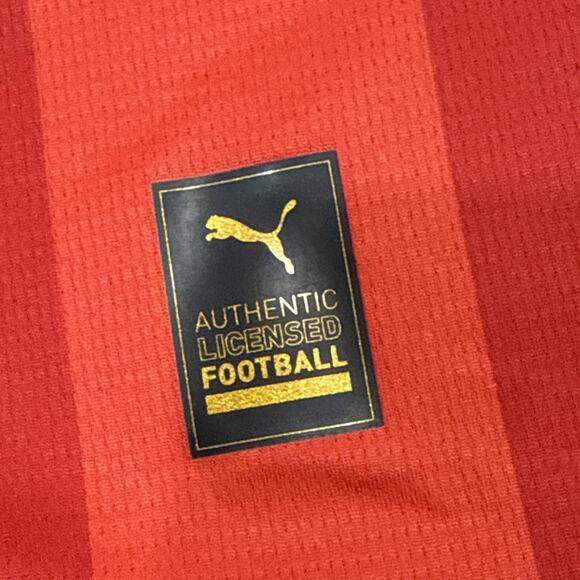 PUMA Psv Einshoven 23/24 Soccer Jersey Mens Size XL 77057801 - Picture 8 of 12